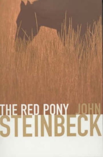 Picture of The Red Pony