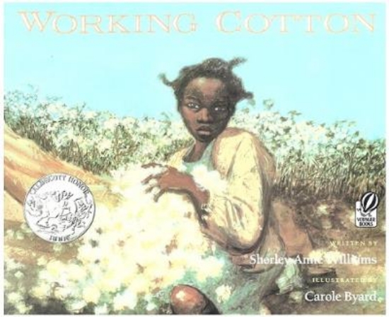 Picture of Working Cotton