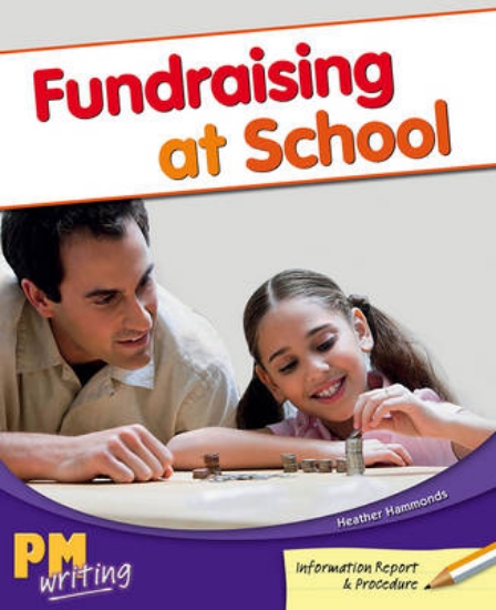 Picture of Fundraising at School
