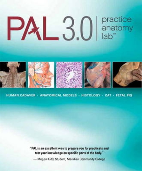Picture of Practice Anatomy Lab 3.0 (for packages without Mas