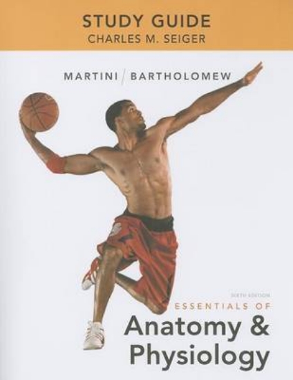 Picture of Study Guide for Essentials of Anatomy &amp; Physio