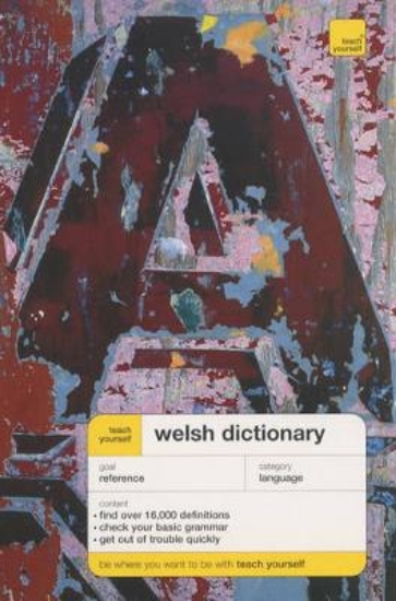 Picture of Welsh Dictionary