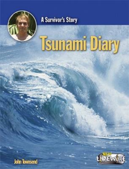 Picture of Tsunami Diary