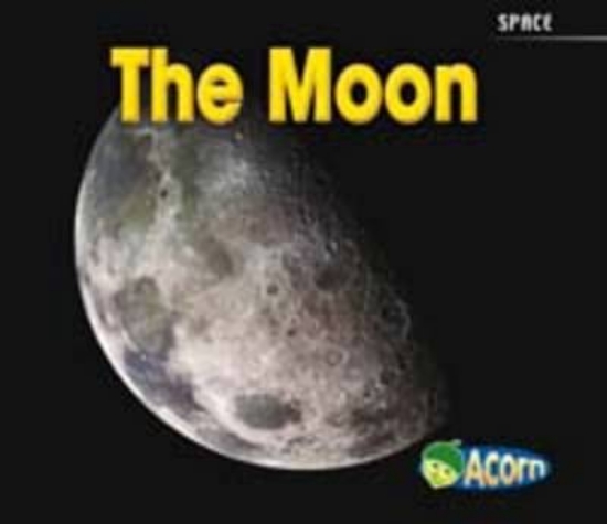 Picture of The Moon