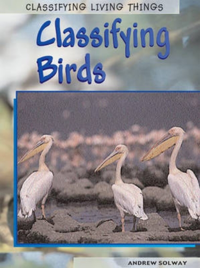 Picture of Classifying Birds
