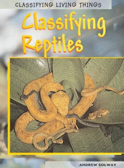 Picture of Classifying Reptiles