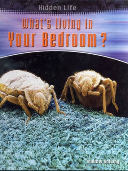 Picture of What's Living In Your Bedroom