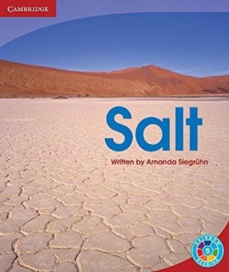 Picture of Salt