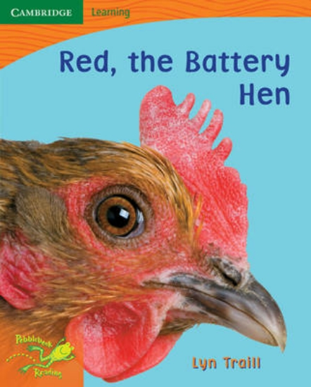 Picture of Pobblebonk Reading 1.2 Red, the Battery Hen