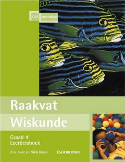 Picture of Raakvat Wiskunde Graad 4 Learner's Book