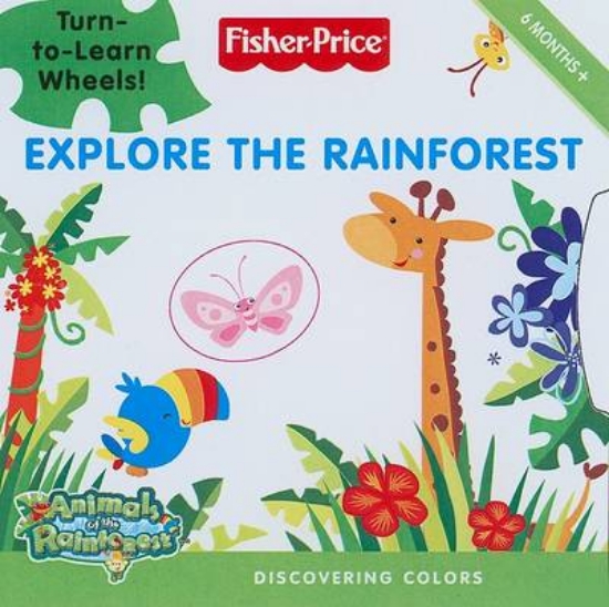 Picture of Explore the Rainforest