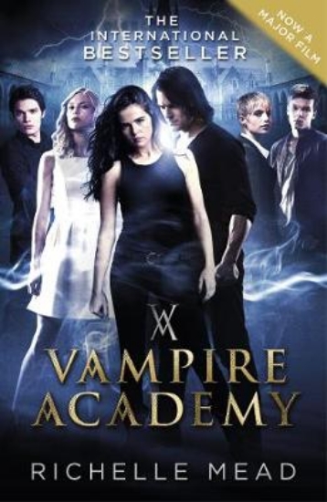 Picture of Vampire Academy (book 1)