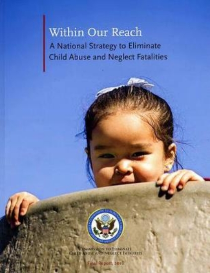 Picture of Within Our Reach: A National Strategy to Eliminate