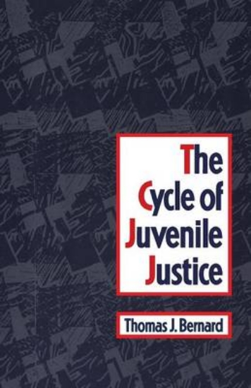 Picture of The Cycle of Juvenile Justice