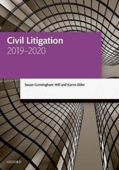 Picture of Civil Litigation 2019-2020