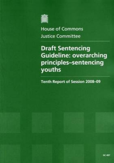 Picture of Draft sentencing guideline