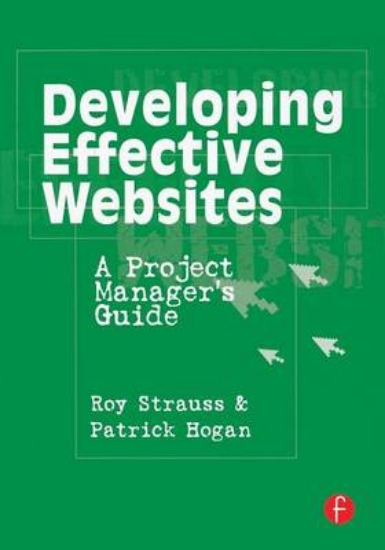 Picture of Developing Effective Websites