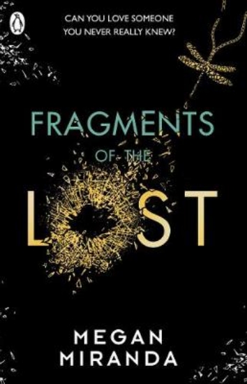 Picture of Fragments of the Lost
