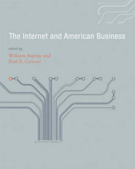 Picture of The Internet and American Business