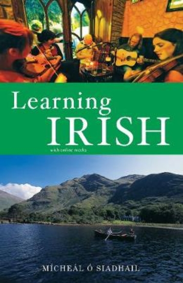 Picture of Learning Irish