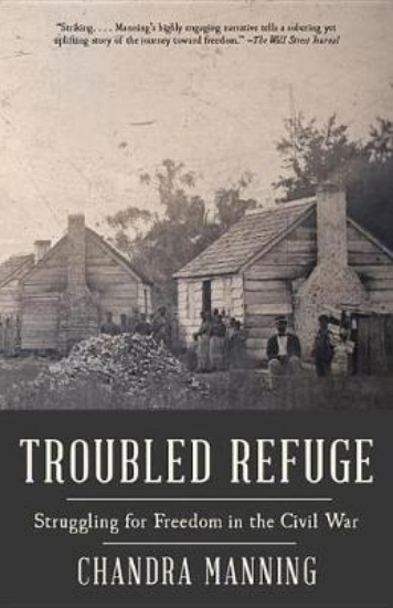 Picture of Troubled Refuge