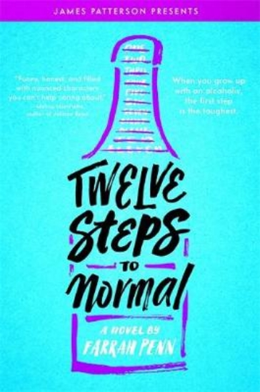 Picture of Twelve Steps to Normal