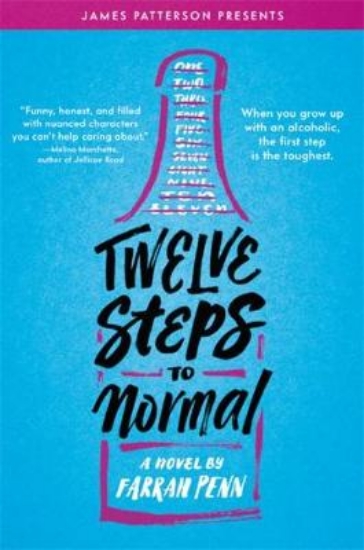 Picture of Twelve Steps to Normal