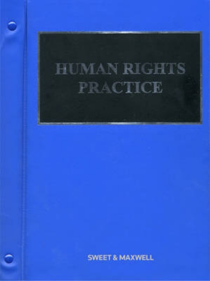 Picture of Human Rights Practice