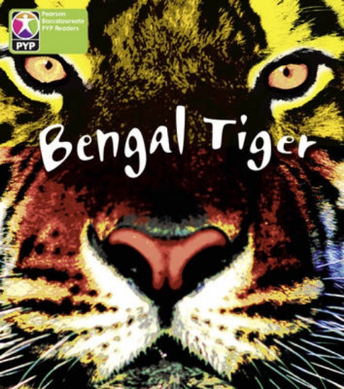 Picture of Primary Years Programme Level 4 Save Bengal Tiger