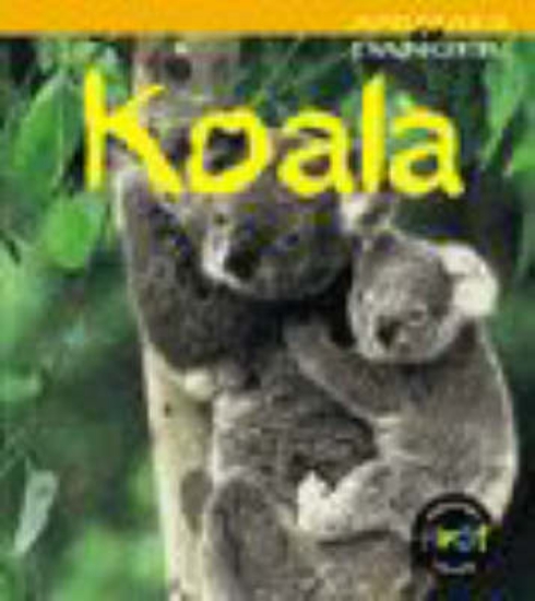 Picture of Animals in Danger: Koala (Cased)