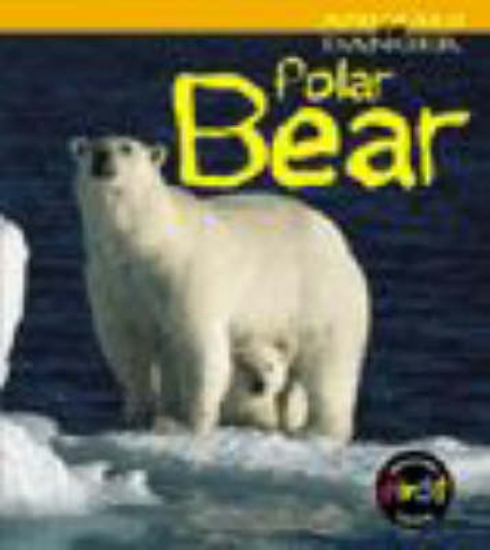 Picture of Animals Danger: Polar Bear HB