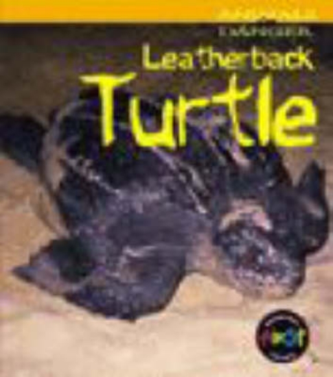 Picture of Animals in Danger: Leatherback Turtle (Cased)