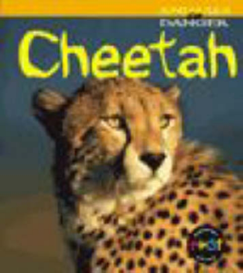 Picture of Animals in Danger: Cheetah Paperback