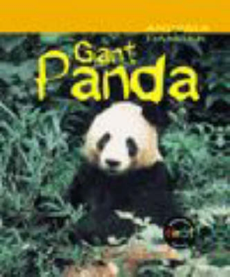 Picture of Animals Danger: Giant Panda Paperback