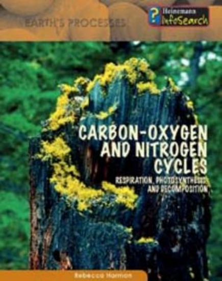 Picture of Carbon-Oxygen and Nitrogen Cycles
