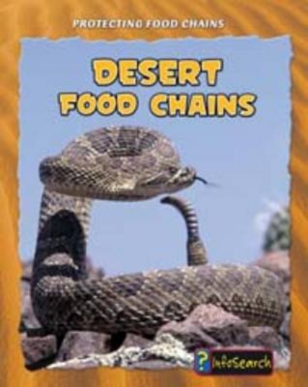 Picture of Desert Food Chains