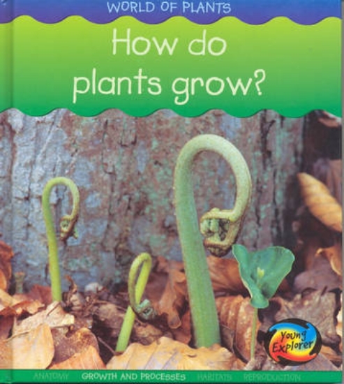 Picture of How do Plants Grow