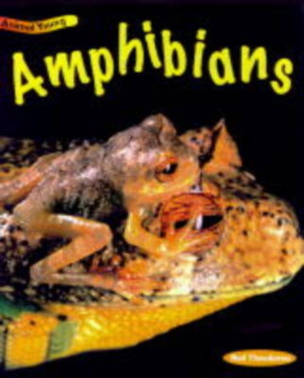 Picture of Amphibians