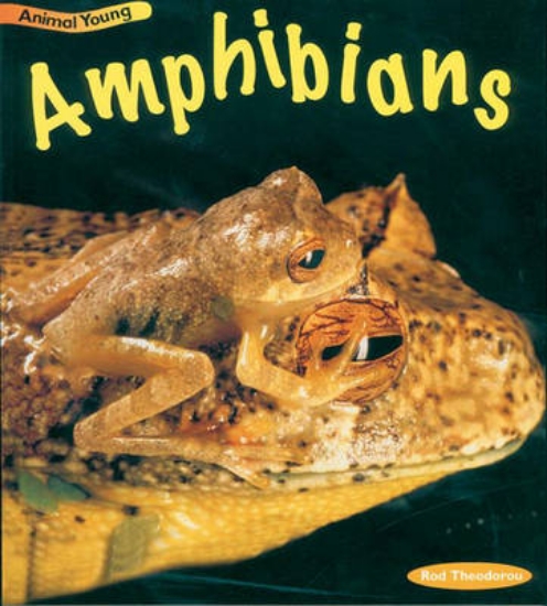 Picture of Amphibians