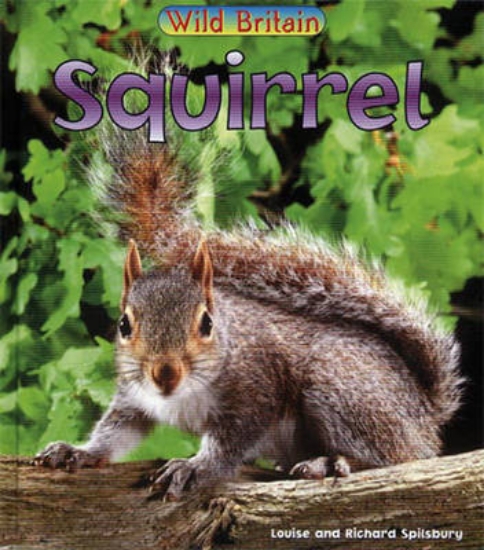 Picture of Squirrel: Guided Reading Pack
