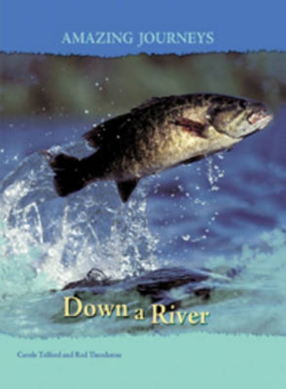 Picture of Down a River