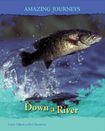 Picture of Down a River