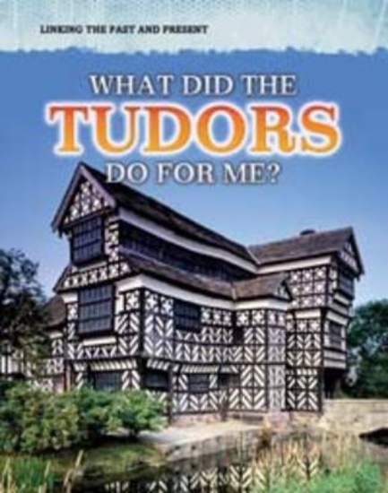 Picture of What Did the Tudors Do For Me?
