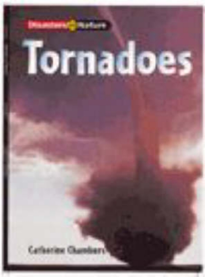 Picture of Disastr Nature: Tornado Pap
