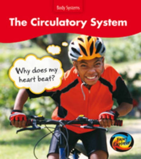 Picture of The Circulatory System