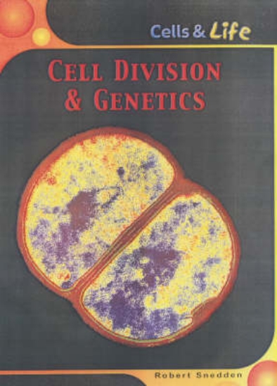 Picture of Cell Division &amp; Genetics
