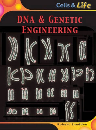 Picture of DNA &amp; Genetic Engineering