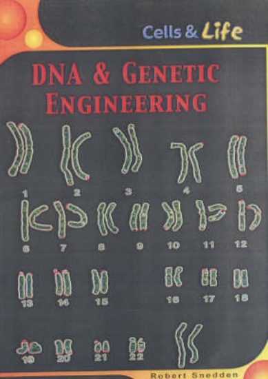 Picture of DNA &amp; Genetic Engineering