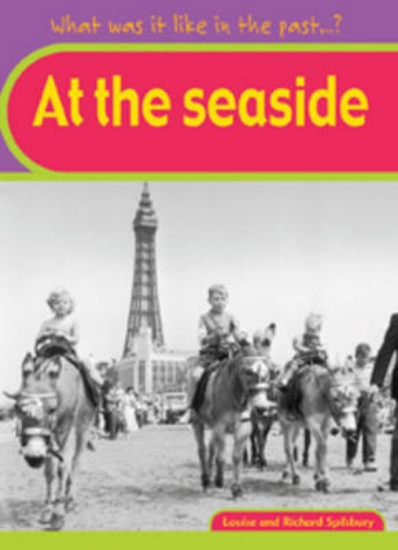 Picture of At The Seaside Big Book