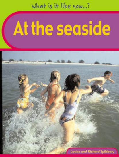 Picture of What Is It Like Now? At The Seaside Paperback